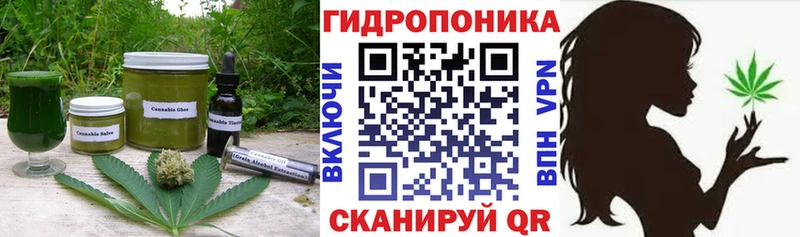 как найти   Гурьевск  Cannafood марихуана 